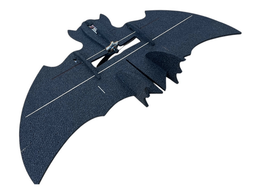 BAT! 750mm Rc Factory